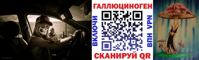 Купить где  Комсомольск-на-Амуре  Галлюциногенные грибы Psilocybe 